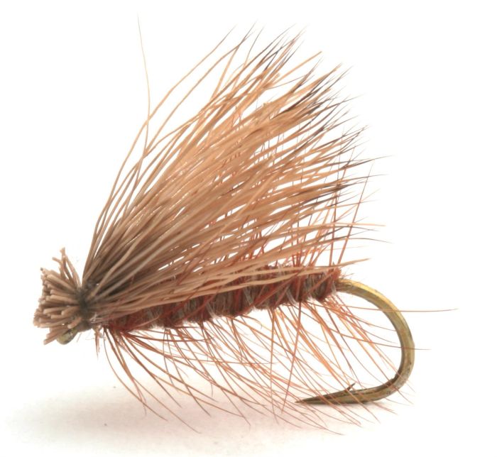 CDC Elk Caddis Brown CDC Elk Caddis Brown Vårfluer
