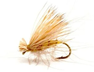 CDC Elk Caddis Yellow Vårfluer