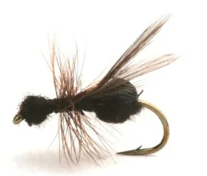 Flying Ant Black Flying Ant Black Mygg & Landinnsekter