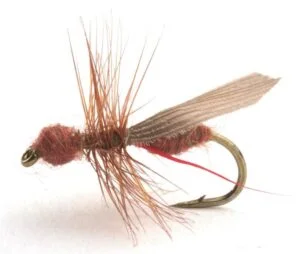 Flying Ant Cinnamon Flying Ant Cinnamon Mygg & Landinnsekter