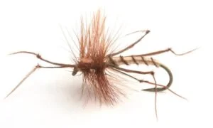 Daddy Long Legs Krok10 Mygg & Landinnsekter