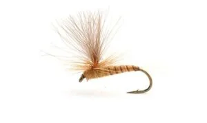 Aurivillii Døgnfluer