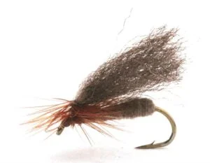 Renaflua Brown Vårfluer