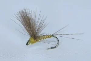 Cdc Biot Comparadun BWO Døgnfluer