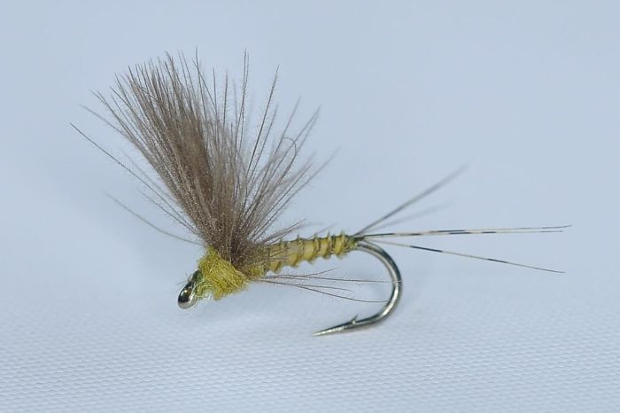 Cdc Biot Comparadun BWO Cdc Biot Comparadun BWO Døgnfluer