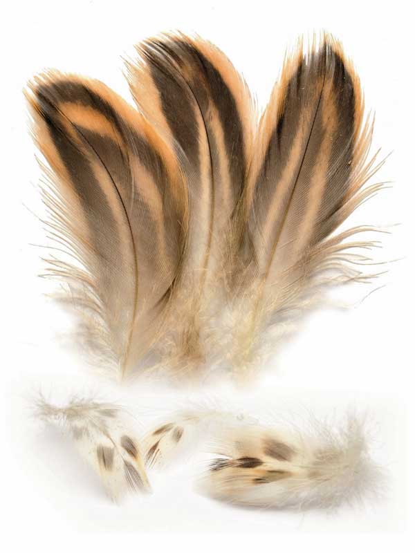 Hen Mallard Breast Feathers Fjær