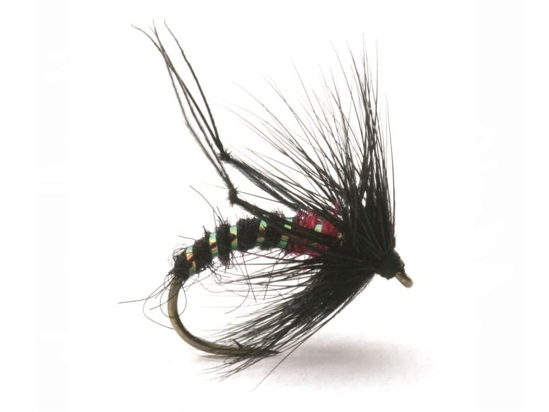 Hopper Bibio Mygg & Landinnsekter