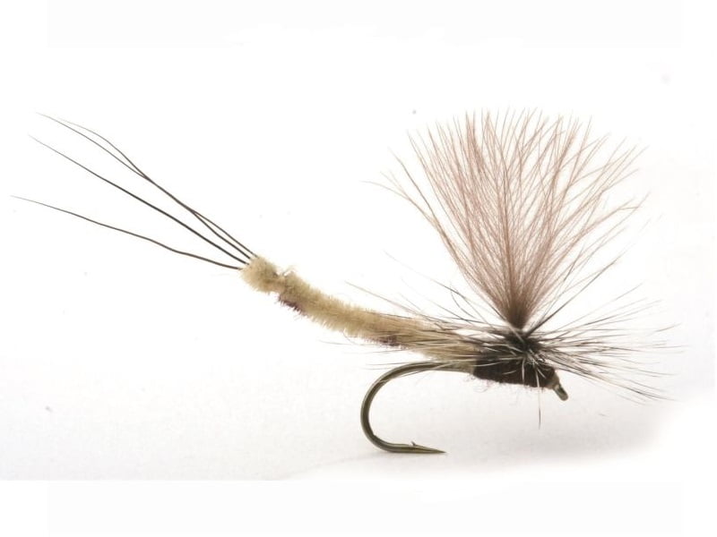 Danica Dun Krok 10 Døgnfluer