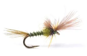 Quigley Cripple Baetis Døgnfluer