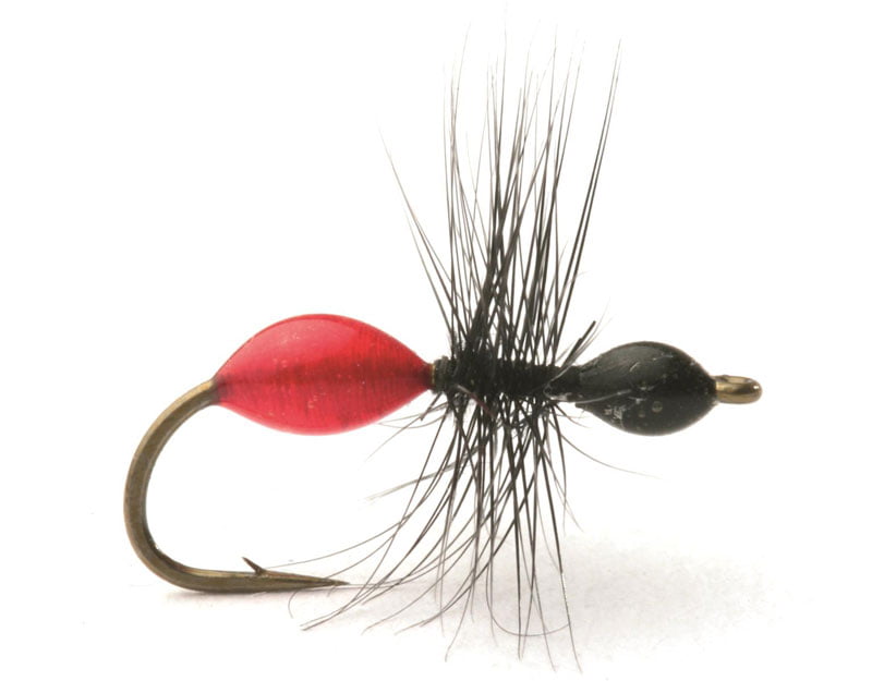 Transparent Ant Transparent Ant Mygg & Landinnsekter