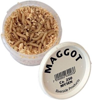 Riverside Maggot Hvit Isfiskefor og Agn