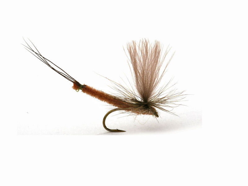 Vulgata Dun Krok 10 Døgnfluer