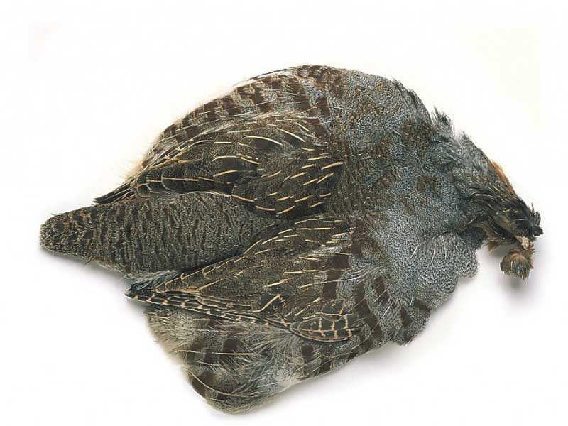 English Partridge Complete Skin English Partridge Complete Skin Fjær