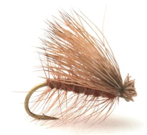 Elk Caddis Brown Vårfluer