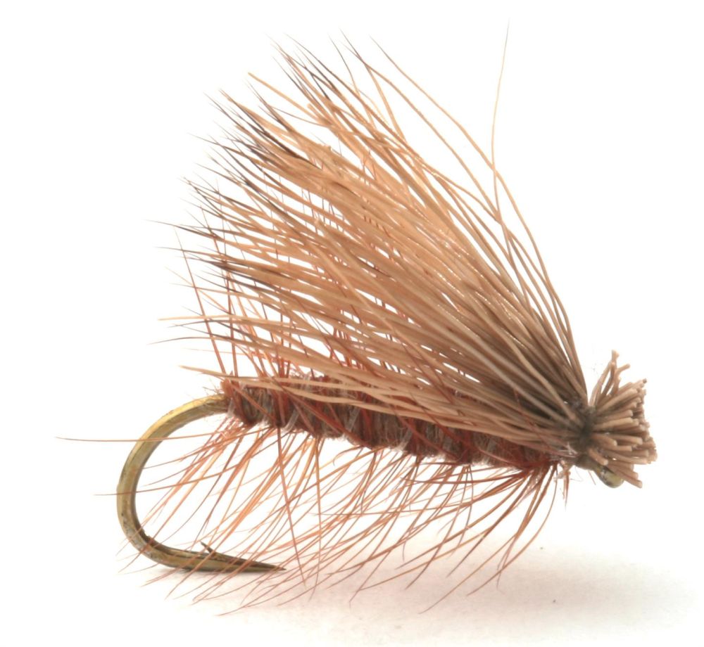 Elk Caddis Brown Vårfluer