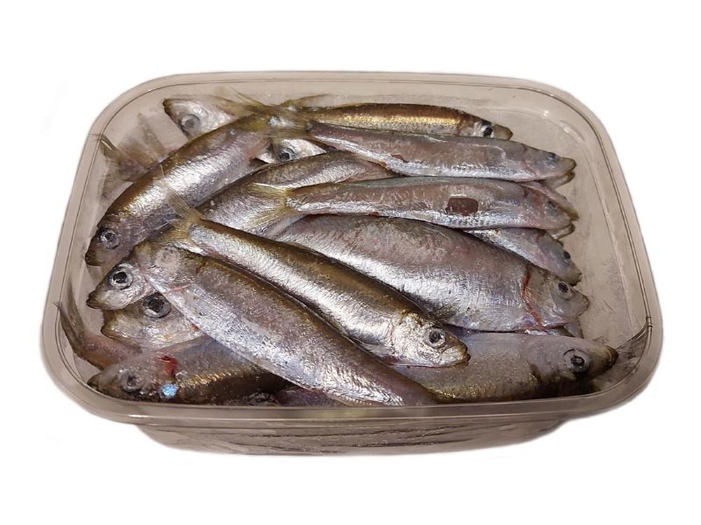 Agnsild Levende og Fryst Agn