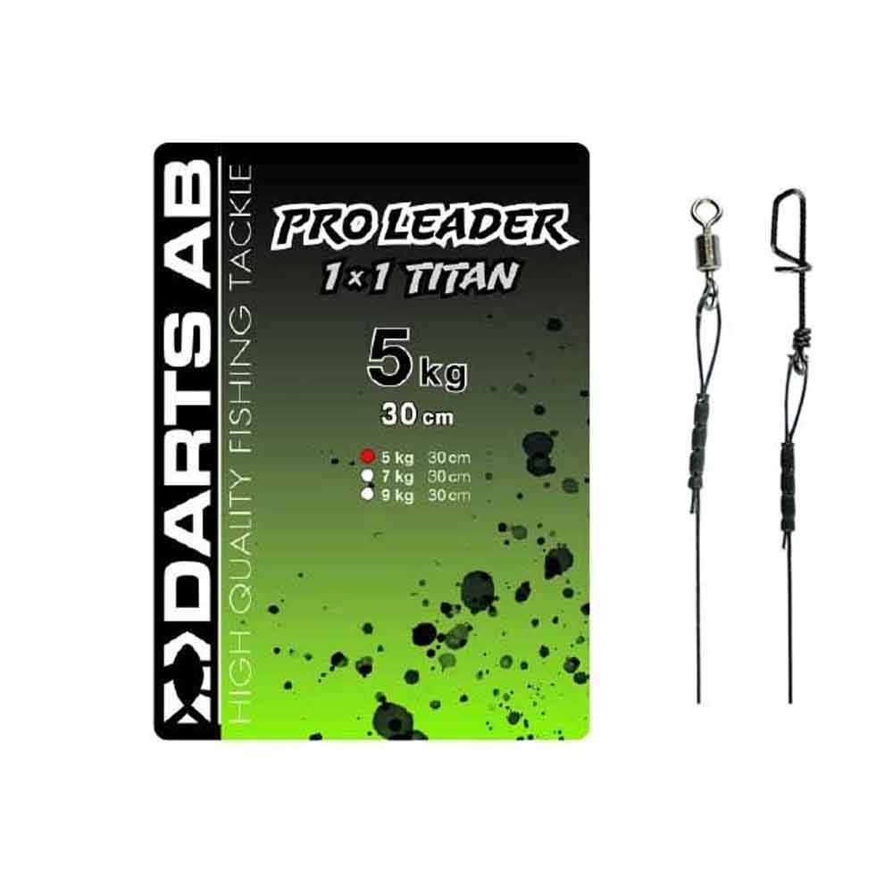 Darts Pro Leader Titanium 30cm Fortommer