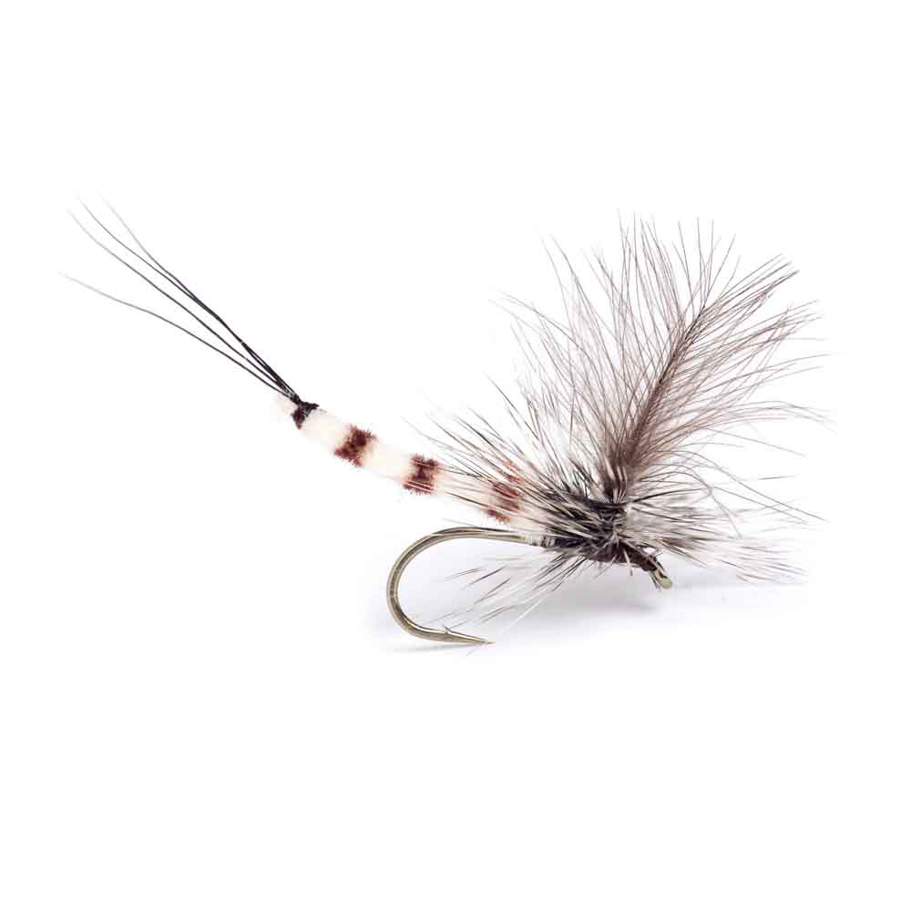 GL Danica Dun Krok 10 Døgnfluer