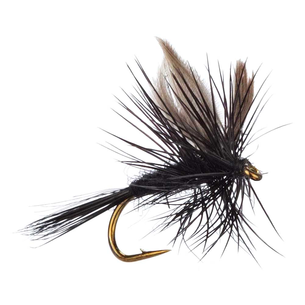 Arcticflies Black Gnat Arcticflies Black Gnat Mygg & Landinnsekter
